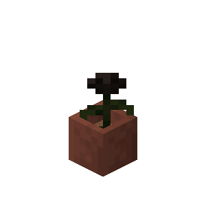 Potted Wither Rose JE1 in Minecraft