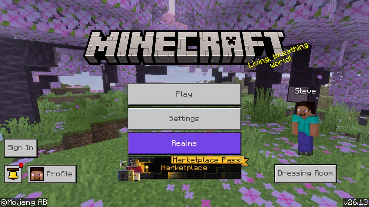 Shader Minecraft 1.21.11: Guida Java, Bedrock e FPS
