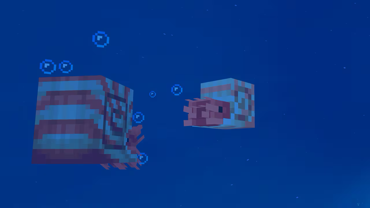 Mounts of Mayhem: Complete Guide to the Nautilus Mount and New Features