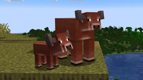 Player skin wearing a dark Warden-inspired hoodie inside an Ancient City