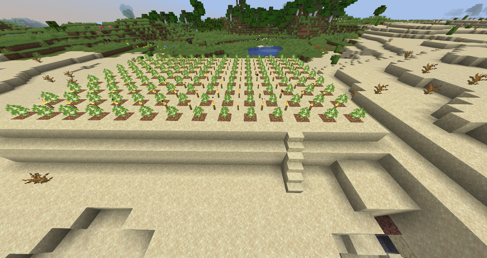 Birch Farming in Minecraft