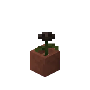 Potted Wither Rose in Minecraft
