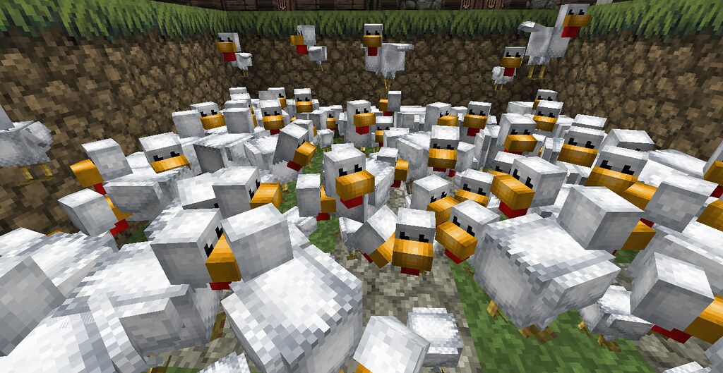 Minecraft 1.1 - Chicken breeding
