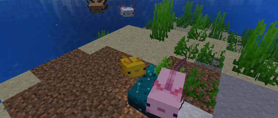 20w51a no Minecraft