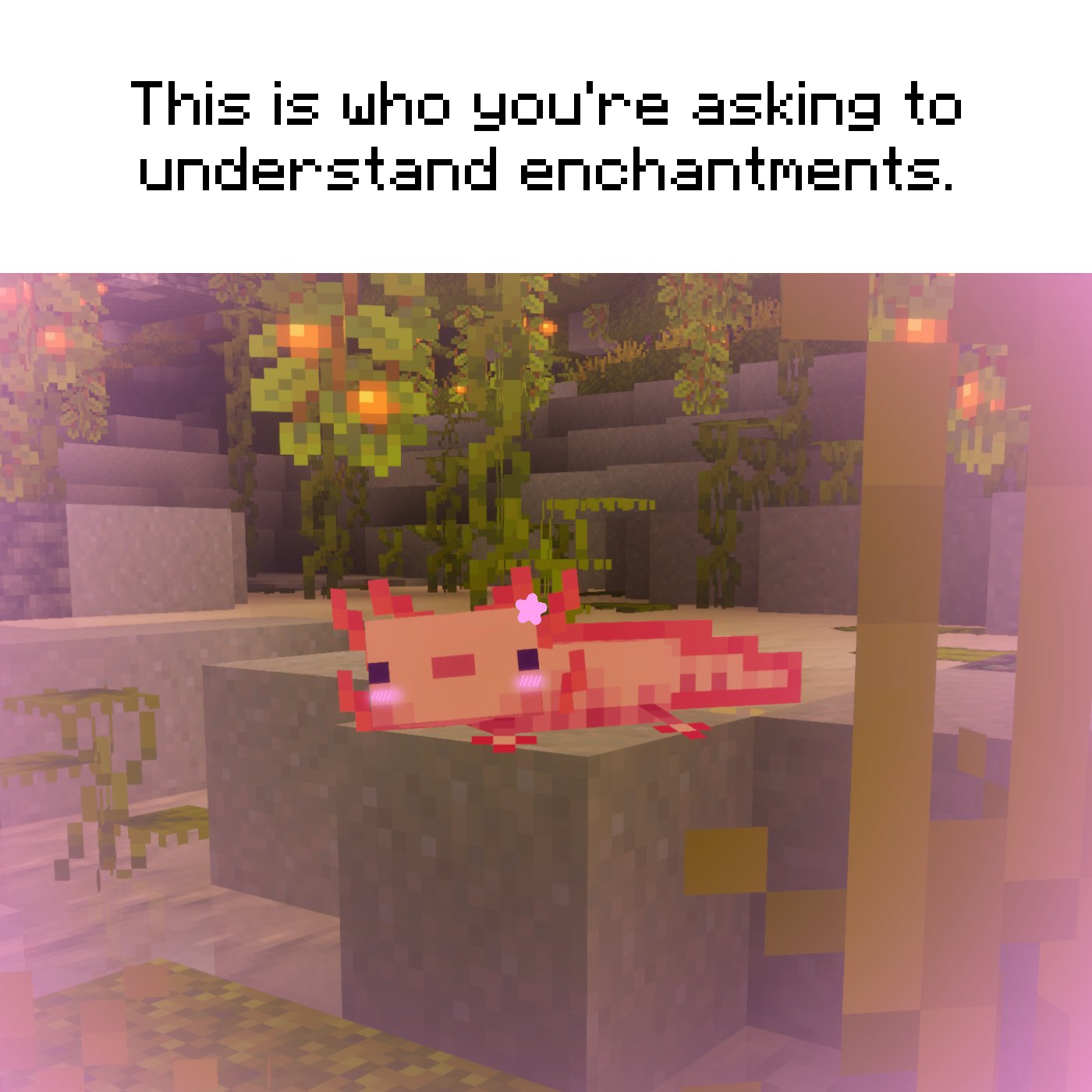An axolotl with a pink star in Minecraft