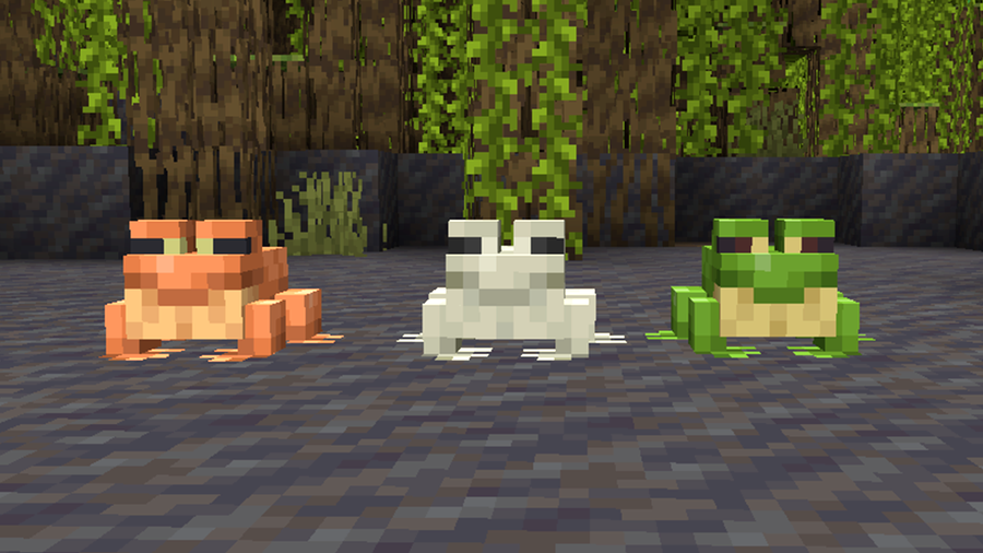 3 new frogge friends in Minecraft