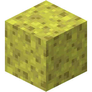 Sponge JE3 in Minecraft