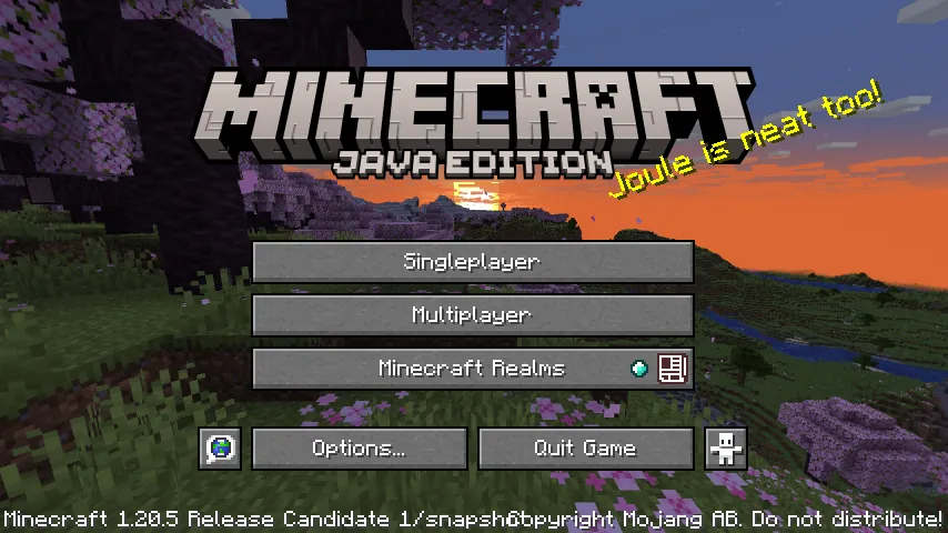 Java Edition 1.20.5 Release Candidate 1 in Minecraft