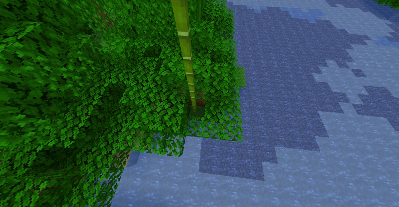 Bamboo in tree in Minecraft