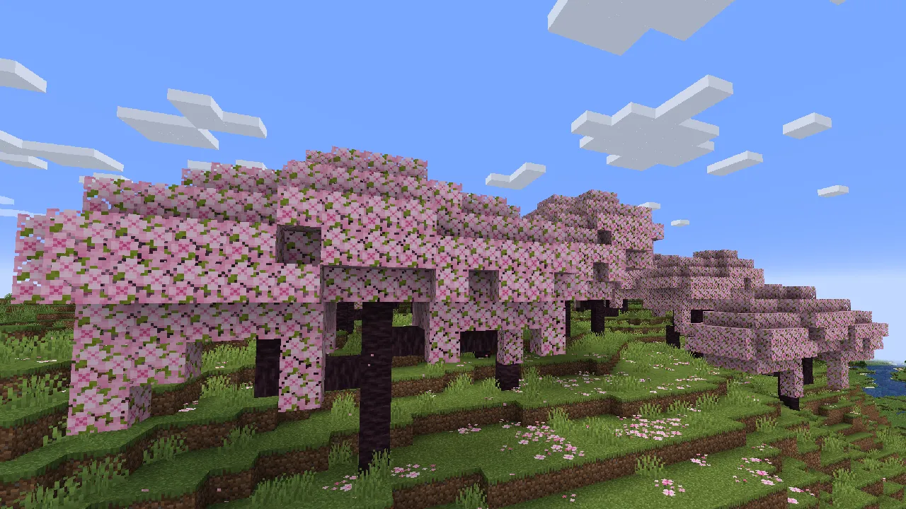 1.20 Dev Cherry Grove in Minecraft