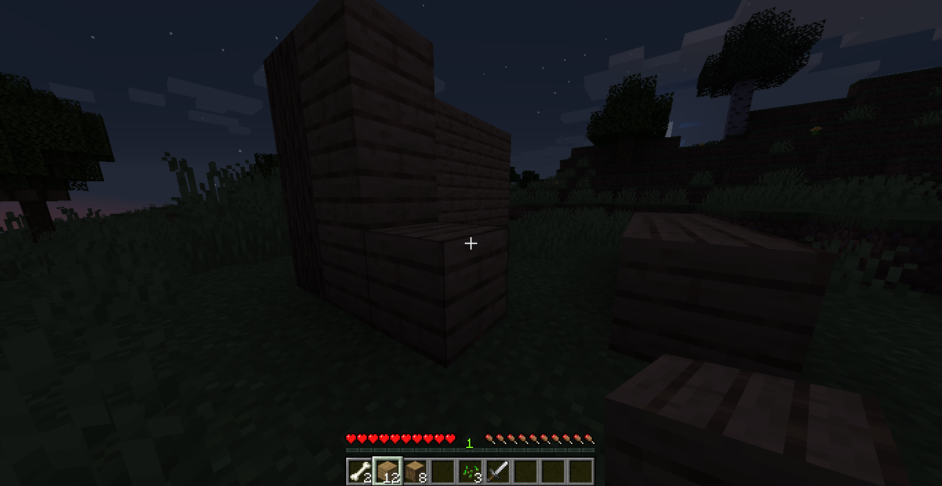 Midnight survival in Minecraft
