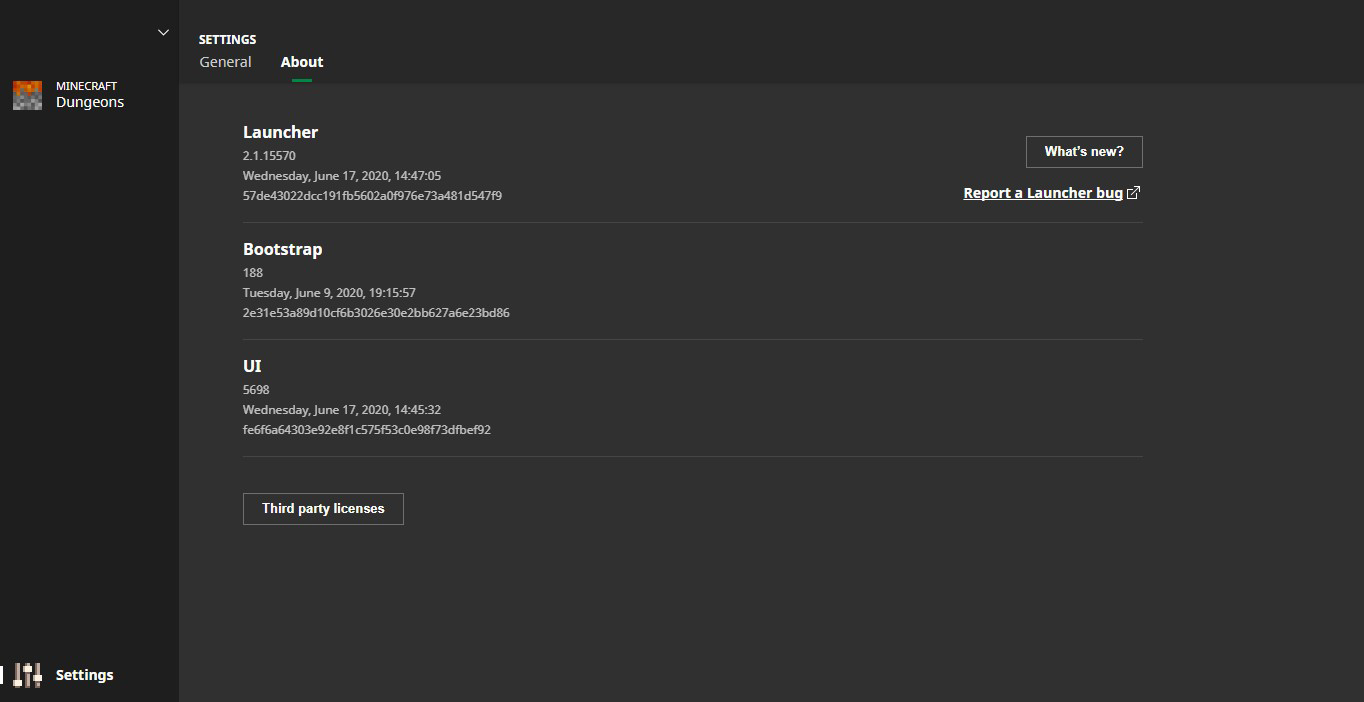 Dungeons Launcher 2.1.15570 in Minecraft