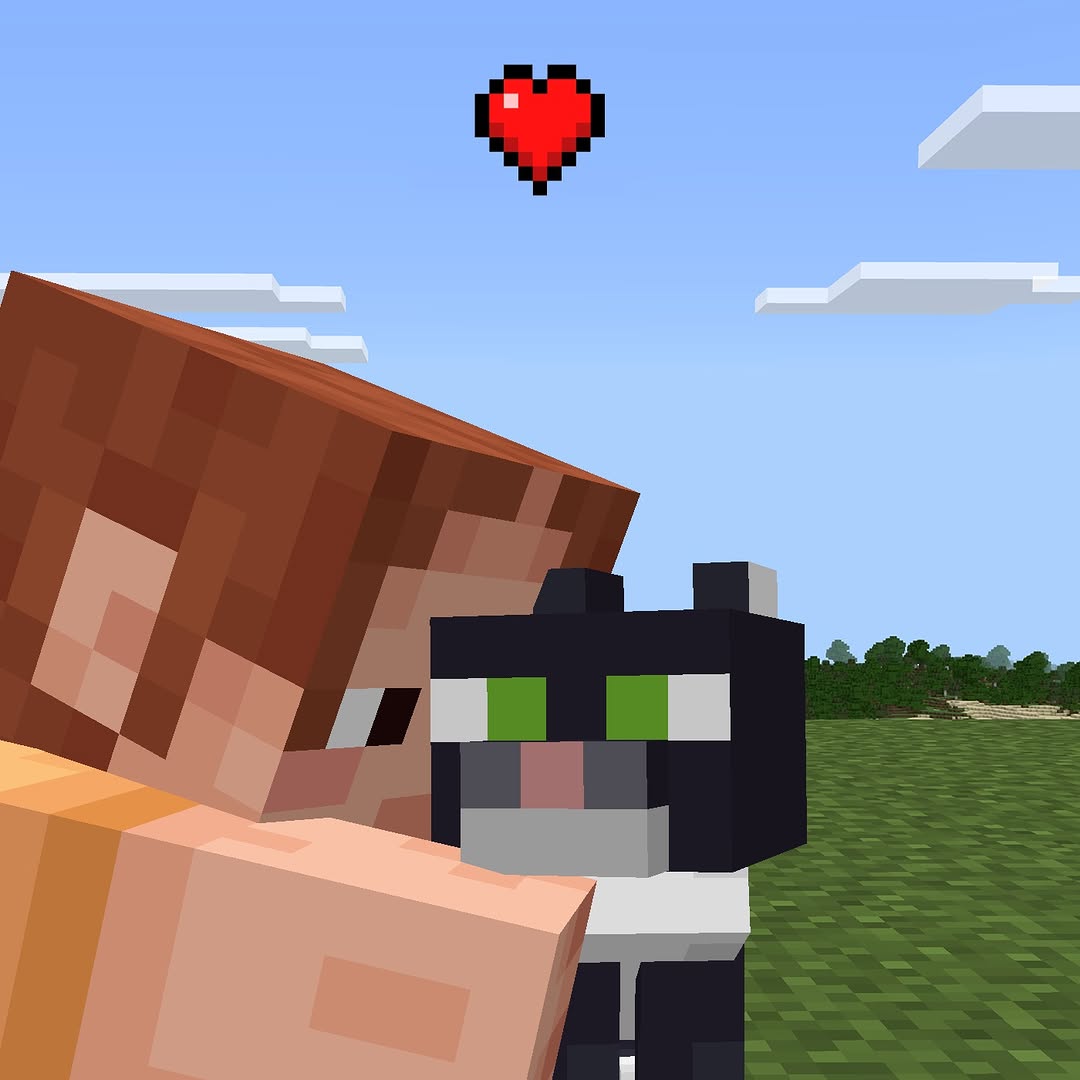Ari hugs cat in Minecraft