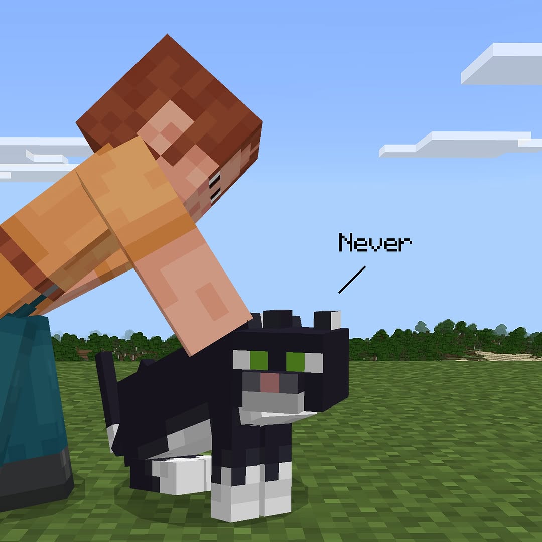 Ari pets cat in Minecraft
