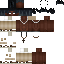 Unknown Skin classic skin texture