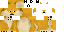 Unknown Skin classic skin texture