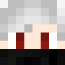 Unknown Skin classic skin texture