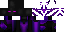 Unknown Skin classic skin texture