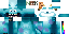 Unknown Skin classic skin texture