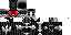 Unknown Skin classic skin texture