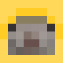 Unknown Skin classic skin texture