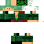 Unknown Skin classic skin texture