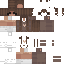 Unknown Skin Minecraft skin preview