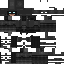 Unknown Skin classic skin texture