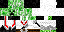 Unknown Skin classic skin texture