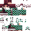 Unknown Skin classic skin texture