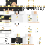 Unknown Skin classic skin texture
