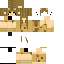 CheetahCub101 classic skin texture