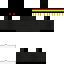 TROOL Minecraft skin preview