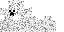snowcreeper classic skin texture