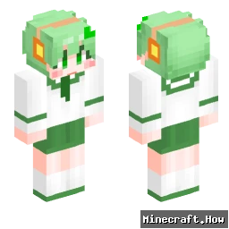 FGcounter - Minecraft skin