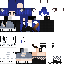 PayPal classic skin texture