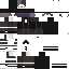 Sinzxisr classic skin texture