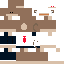 stswaggy classic skin texture