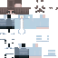 FexInt_ classic skin texture