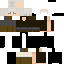 kursyio classic skin texture