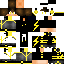 ShockZYT classic skin texture