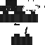 Pan__Kot classic skin texture