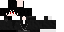 kycho classic skin texture