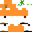 Angry__carrot classic skin texture