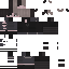 _Arryn classic skin texture