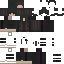schneezym classic skin texture