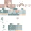 Dnky classic skin texture