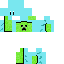 maximum556 Minecraft skin preview