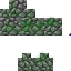 crazyty29 classic skin texture