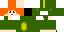 bitcoin classic skin texture